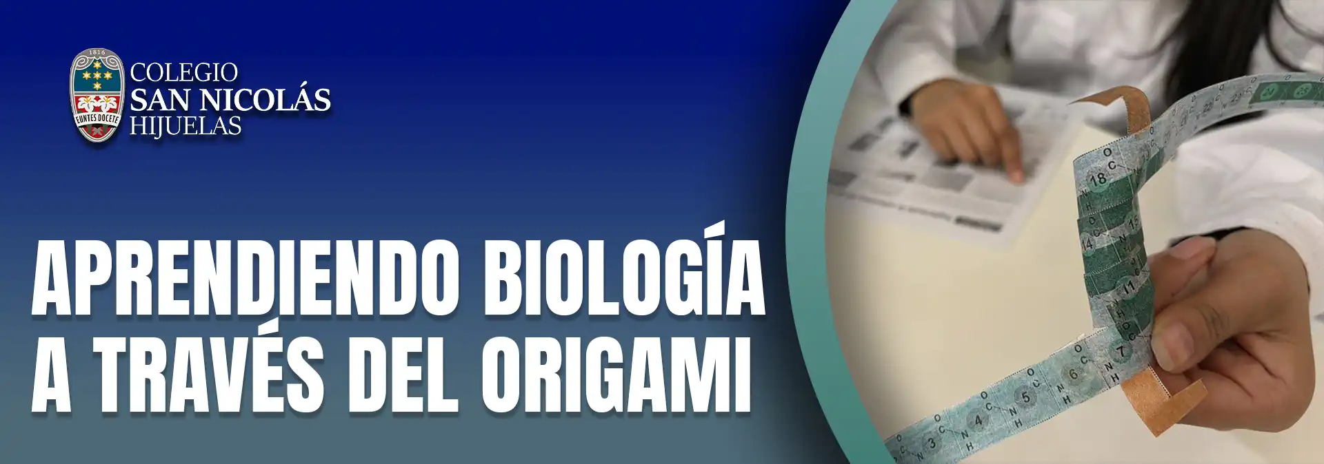  Aprendiendo biología a través del origami